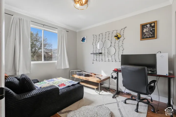 Hardwood-style flooring throughout, crown molding, and a prominent window with a white frame