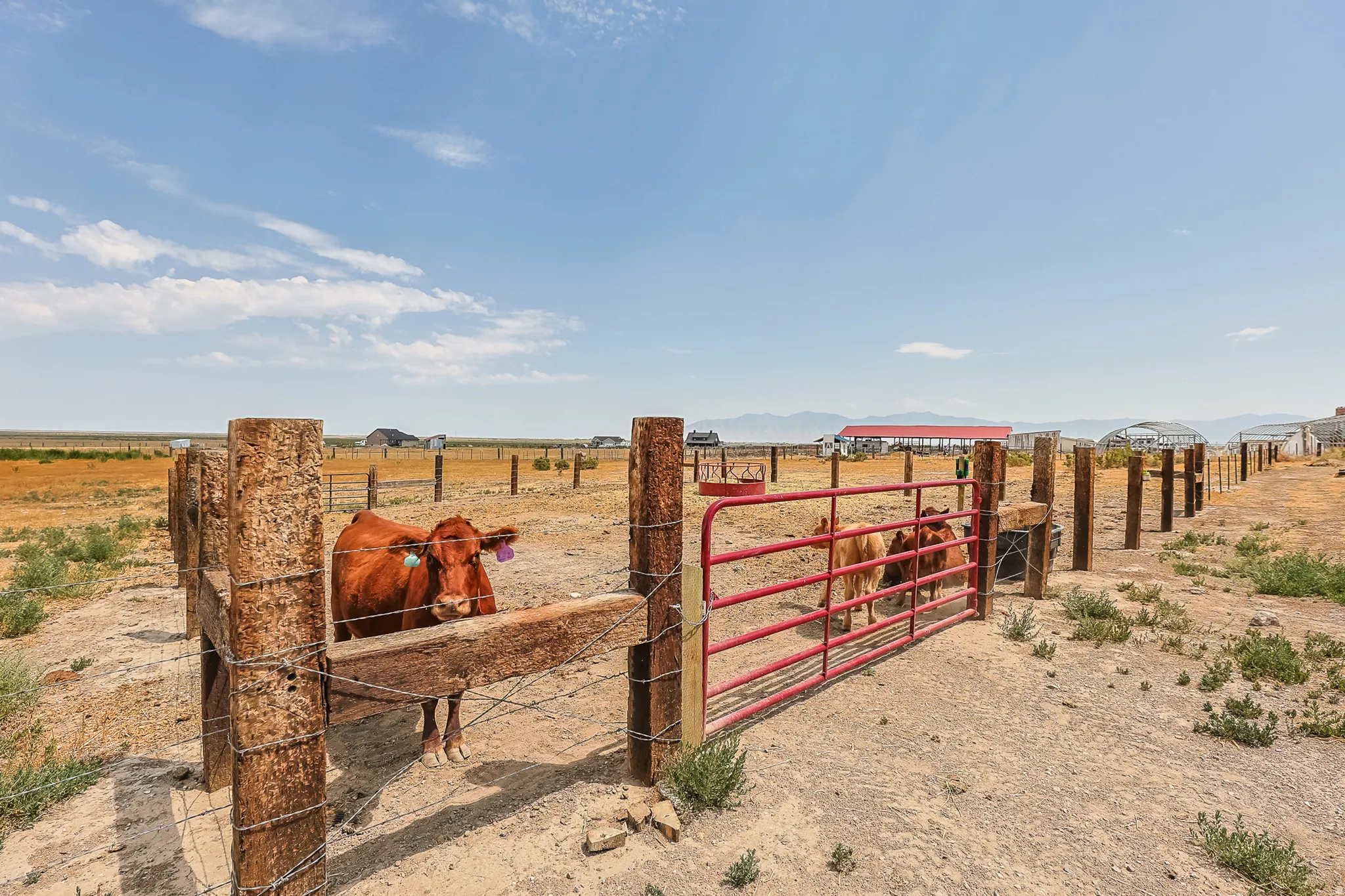 Rural land featuring extensive fencing and a red metal gate