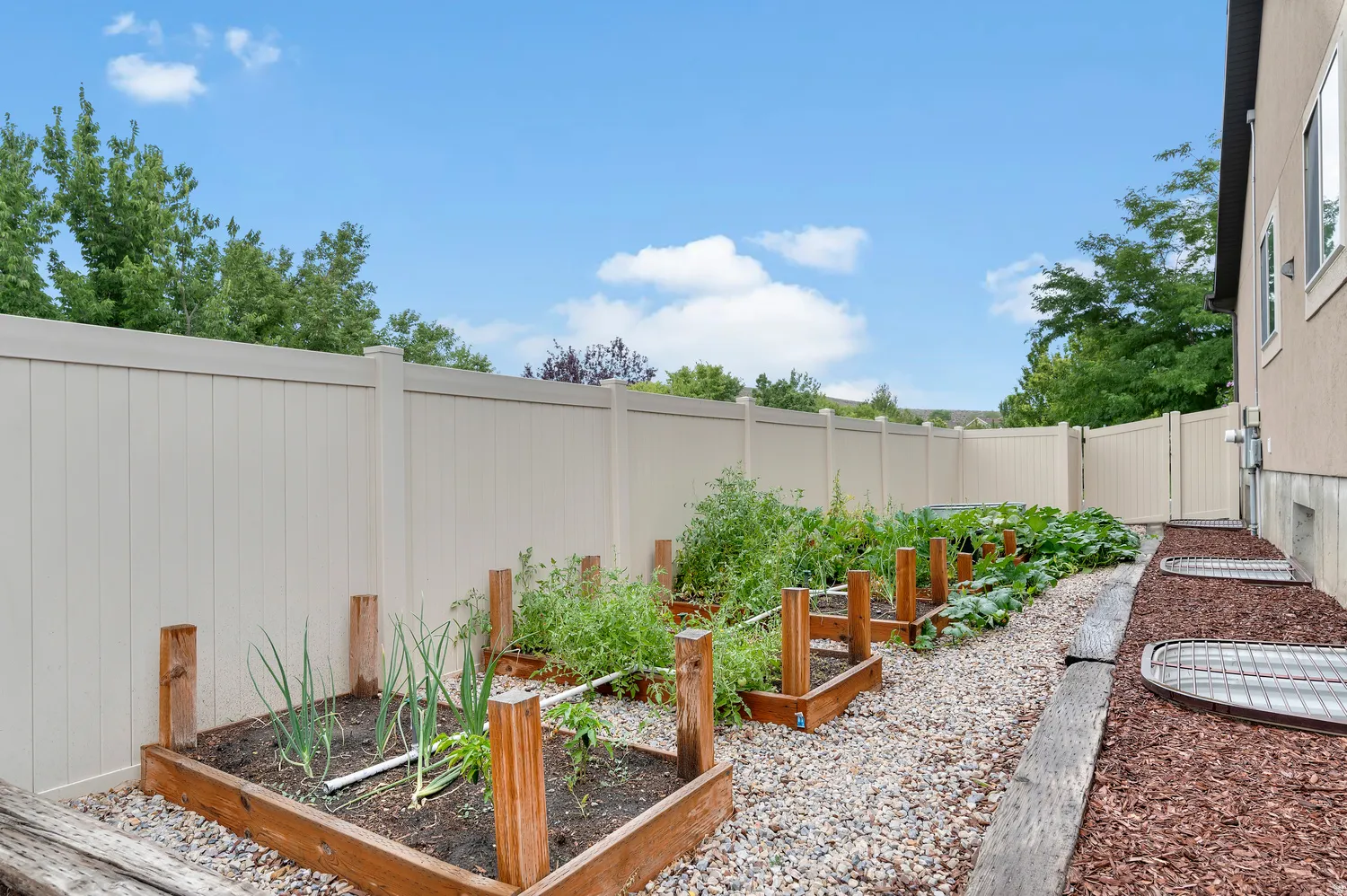 Raised garden beds with established plantings, full-height privacy fencing, gravel pathway, and mulched landscaping