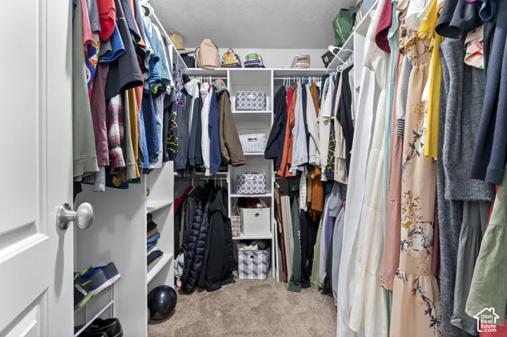 Walk-in closet featuring white built-in shelving, multiple hanging rods, and carpet flooring