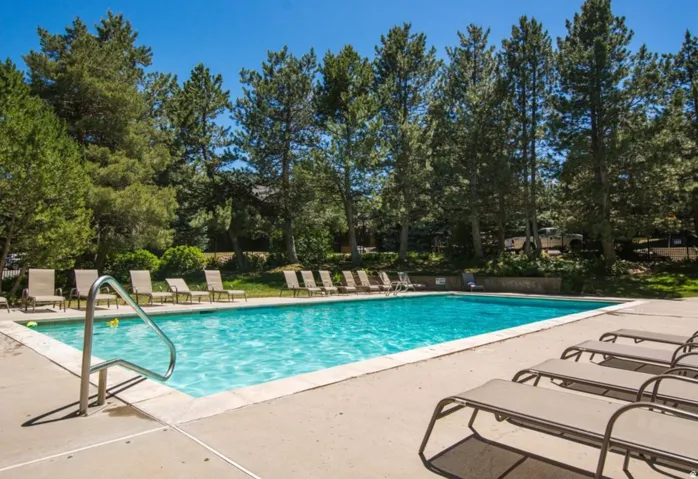 Outdoor swimming pool surrounded by mature trees