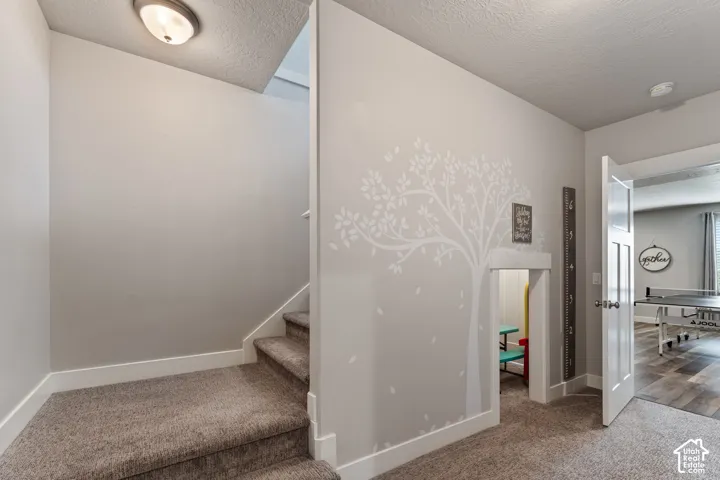 Carpeted staircase with white trim, leading to an upper level