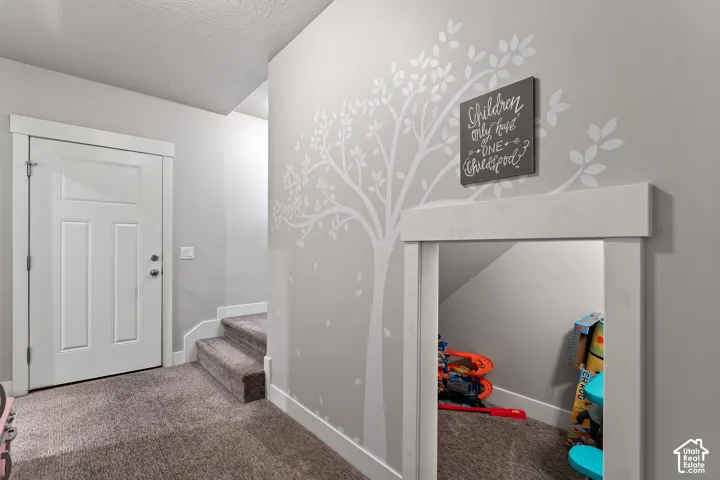 White paneled door, carpeted stairs, and a built-in under-stair alcove