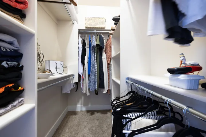 Main Level Master Closet Looking North