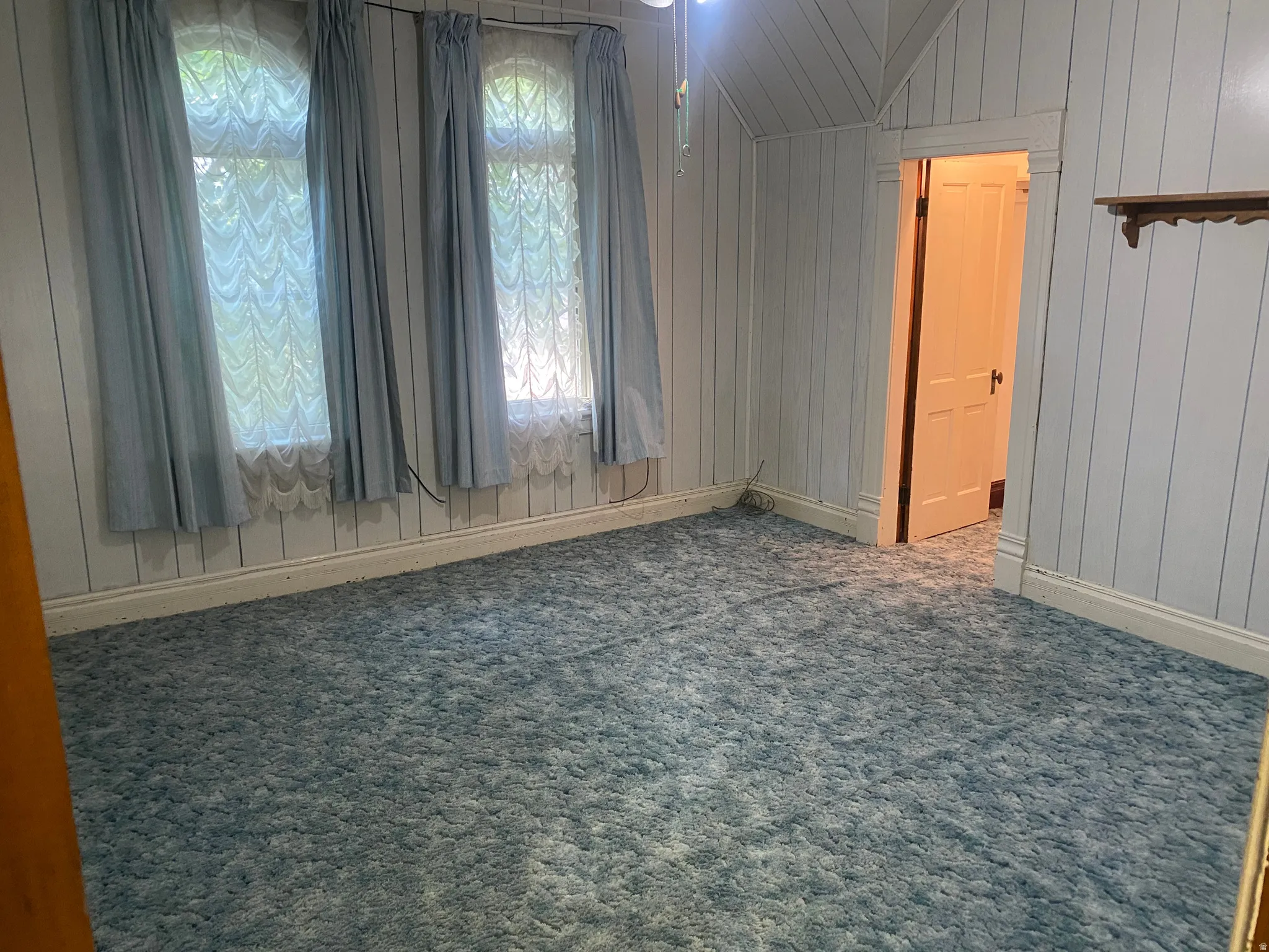Textured blue carpet flooring, vertical paneled wall detailing, two windows with light-filtering curtains, white trim, and a classic paneled door