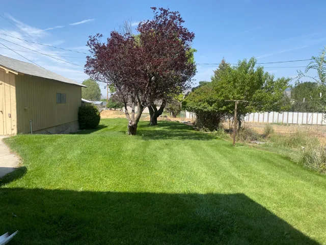 Expansive grassy backyard featuring mature trees, a detached auxiliary building with a concrete foundation, and a partial privacy fence