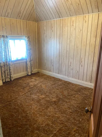 Vaulted ceiling with wood-finish paneling, vertical wood-finish wall paneling, and brown shag carpet flooring