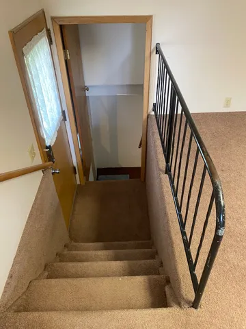 Carpeted staircase featuring a black metal handrail