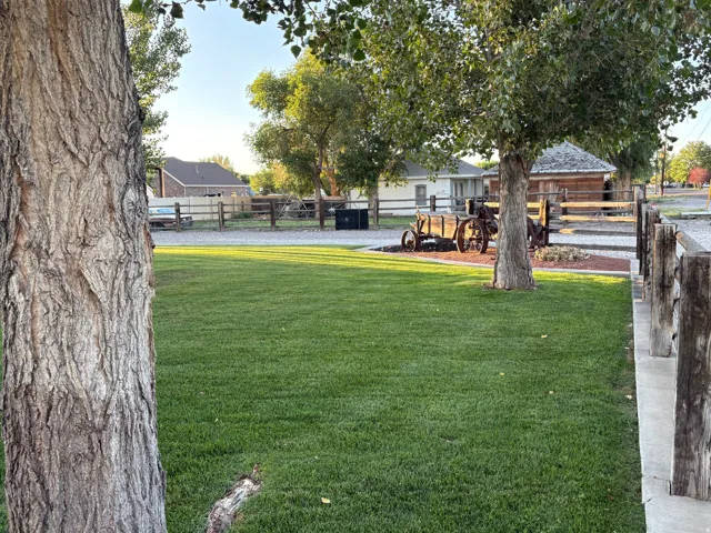 Expansive lawn area with mature trees and a decorative wooden wagon feature