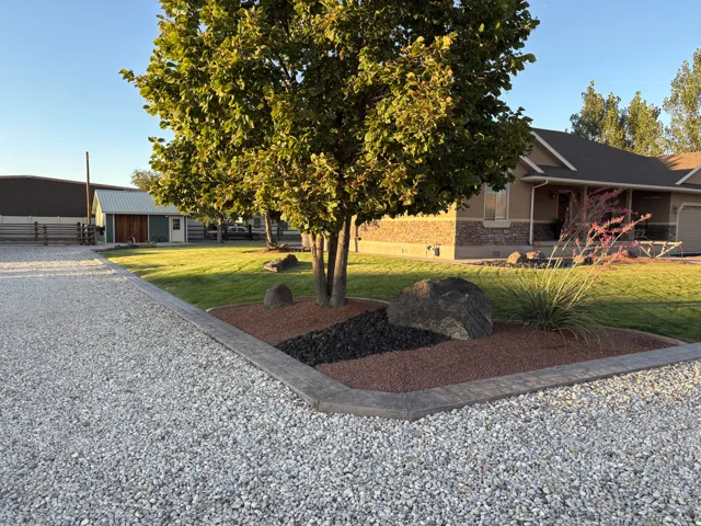 Gravel driveway, manicured lawn, established tree, and decorative rock landscaping