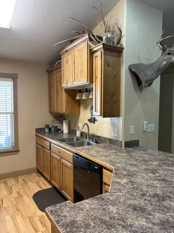 Kitchenette with wood-finish cabinetry, a double basin stainless steel sink, a built-in dishwasher, and a patterned countertop extending to a breakfast bar