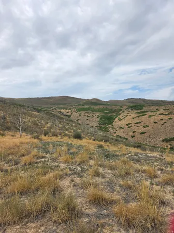 Expansive natural landscape featuring rolling hills, distant mountains, and a beautiful view!