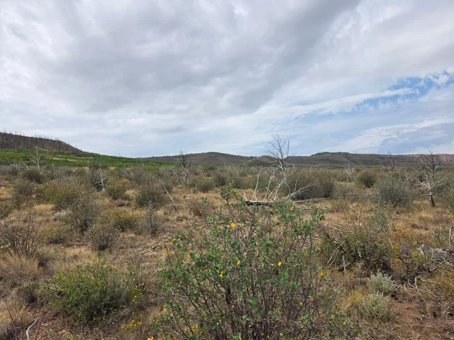 Expansive natural landscape featuring rolling hills, distant mountains, and a beautiful view!