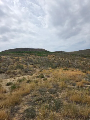 Expansive natural landscape featuring rolling hills, distant mountains, and a beautiful view!