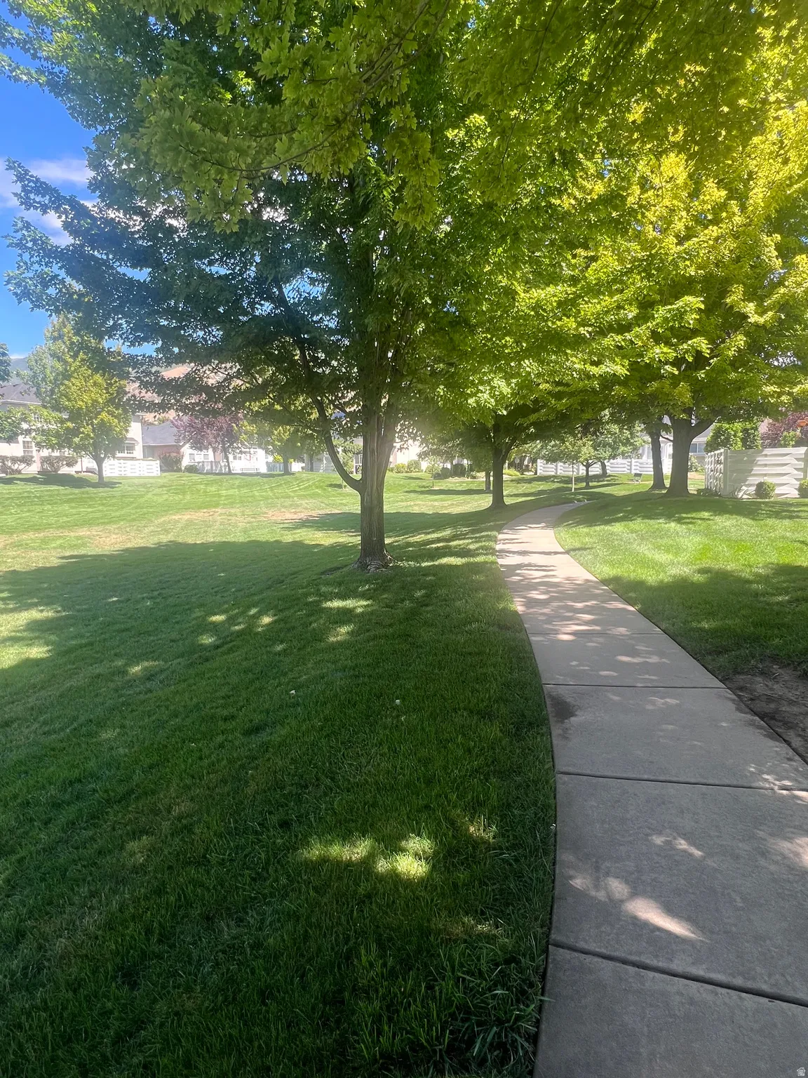 Paved pathway with surrounding green lawn and mature trees