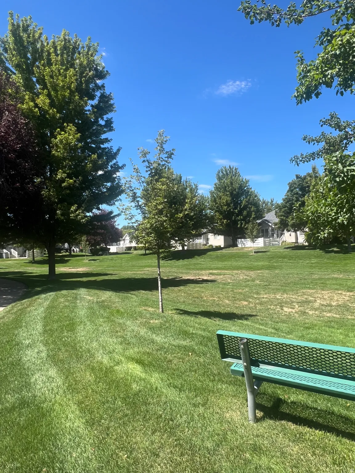 Expansive green space featuring mature trees and a dedicated park bench