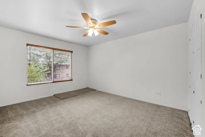 Neutral tone wall finishes
