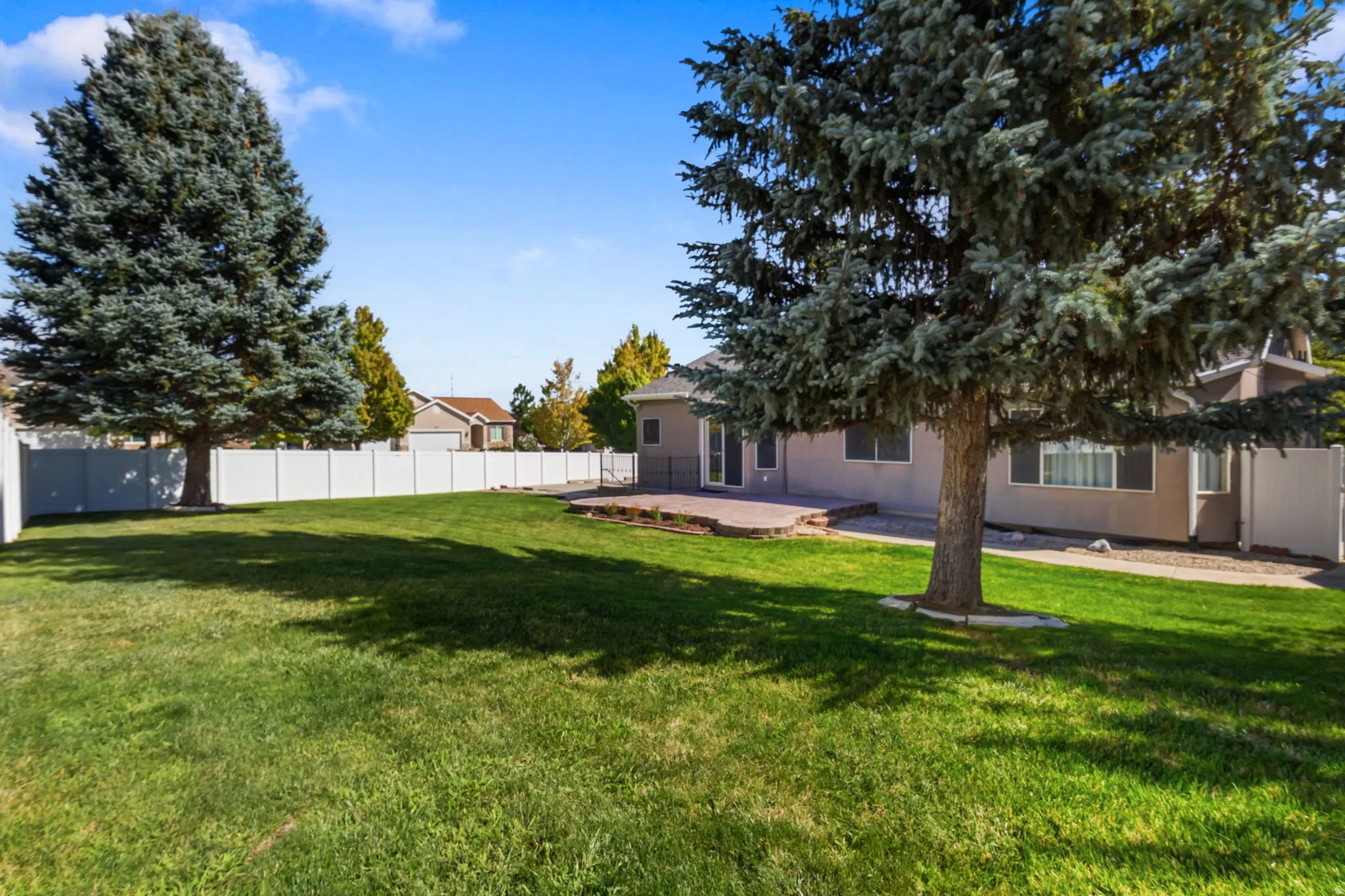 Expansive backyard featuring a manicured lawn, mature evergreen trees, a paver patio, and a privacy fence