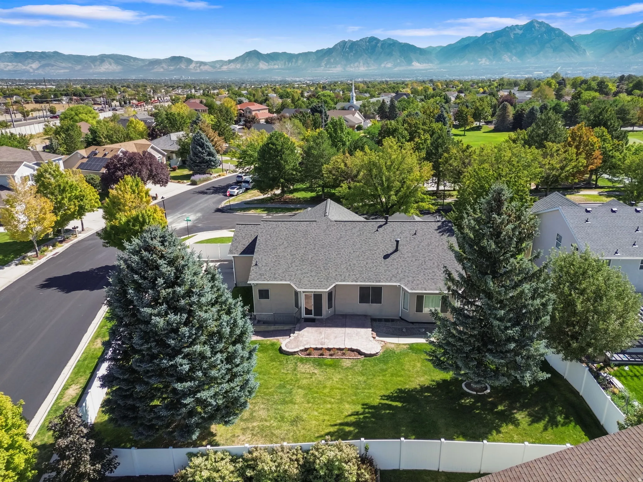 Spacious backyard with mature evergreen trees and a paved patio area
