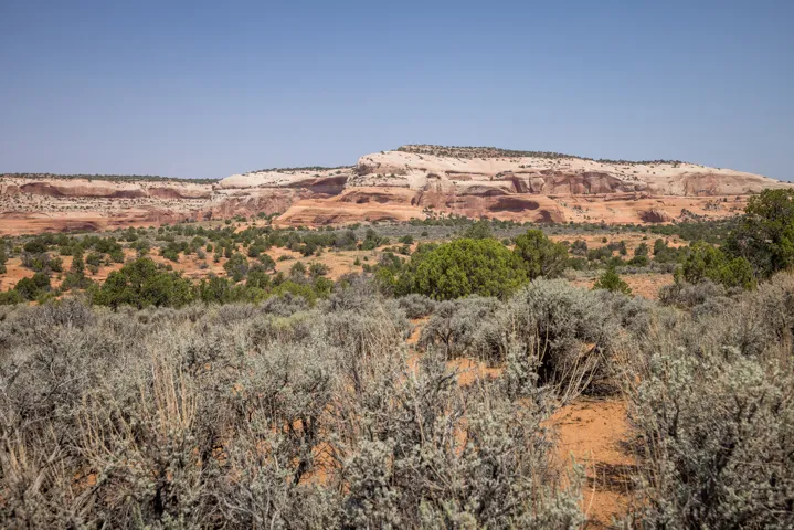 366 S Joe Wilson Dr, Moab, Utah 84532