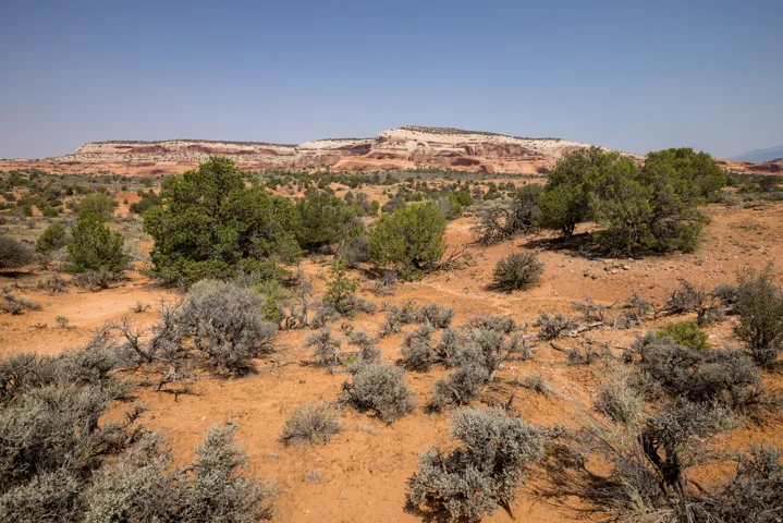 366 S Joe Wilson Dr, Moab, Utah 84532
