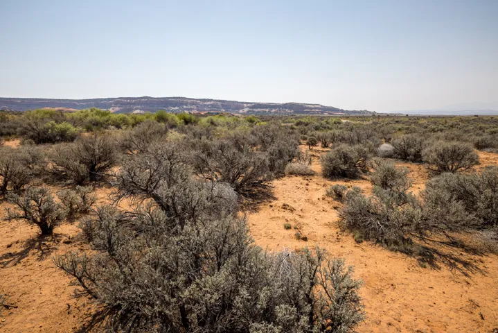 366 S Joe Wilson Dr, Moab, Utah 84532