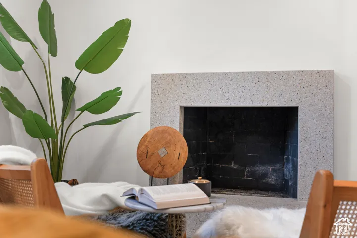 Fireplace with a speckled surround