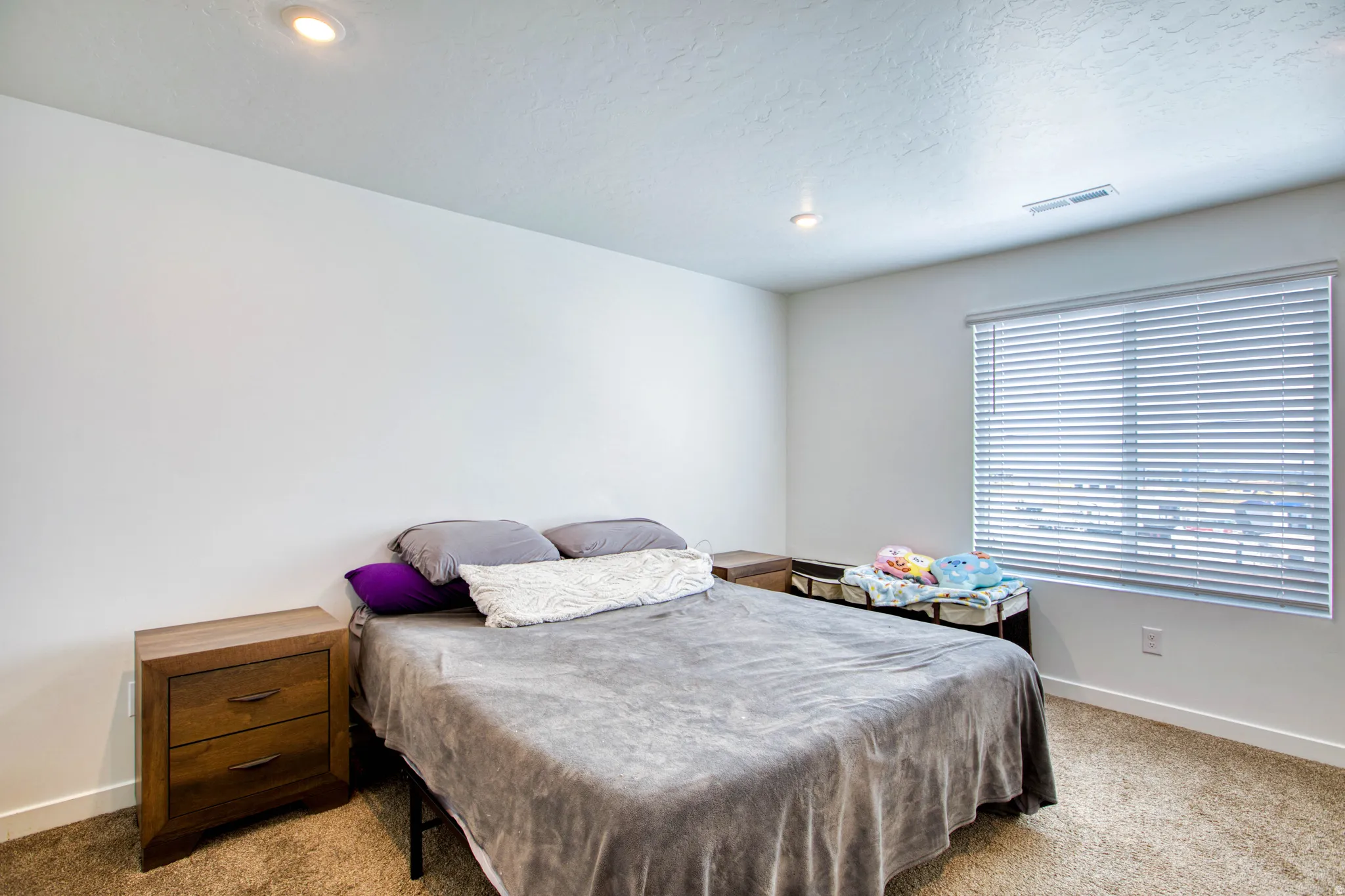 Recessed ceiling lighting, textured wall finish, window with horizontal blinds, and carpeting