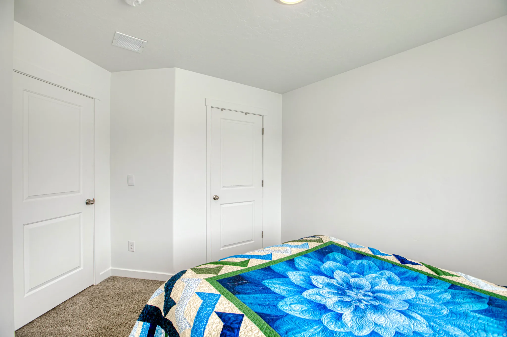 White walls, textured carpet flooring, and two paneled doors with brushed nickel hardware