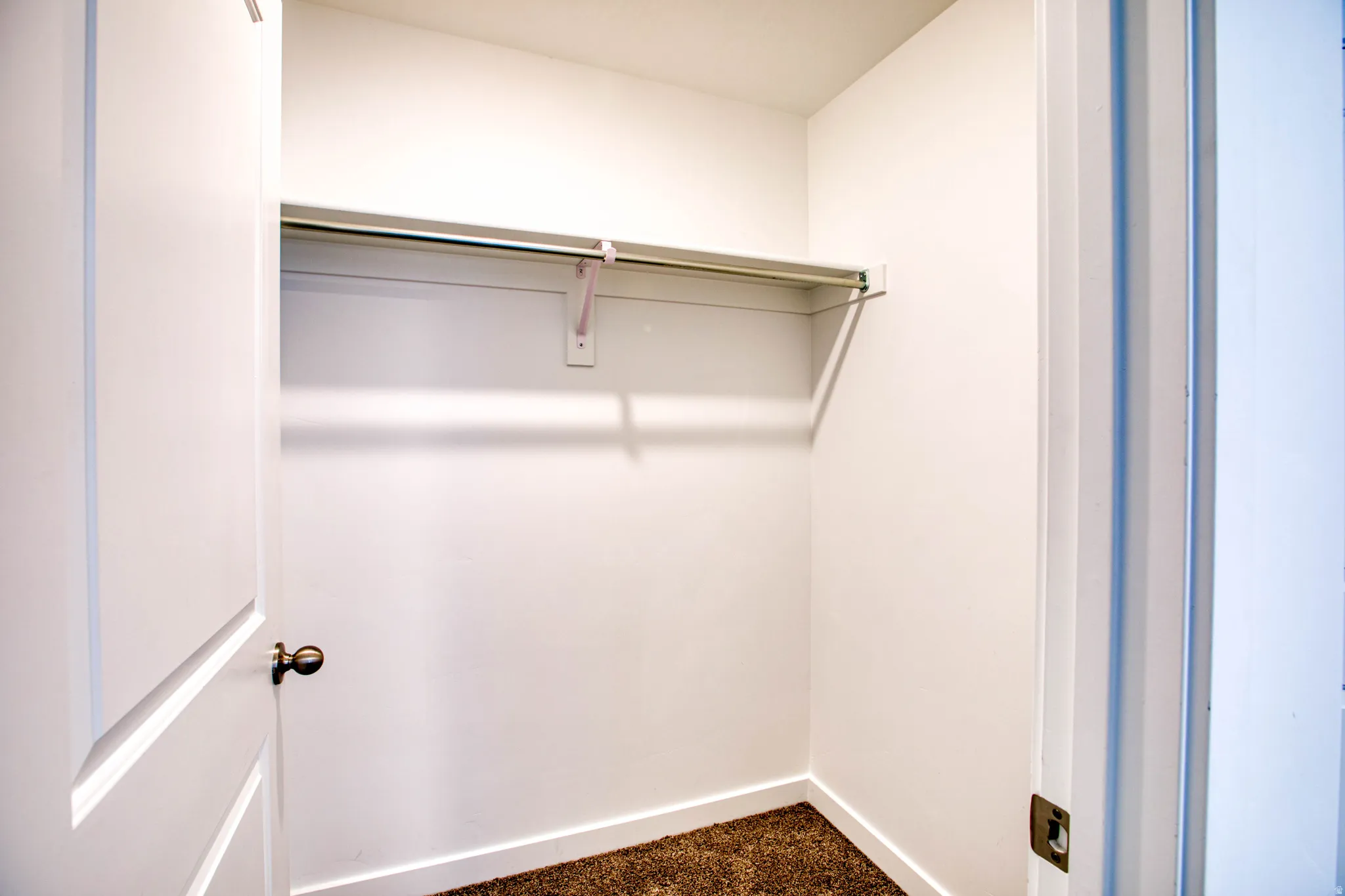 Spacious closet with a built-in hanging rod, overhead shelving, and plush brown carpeting
