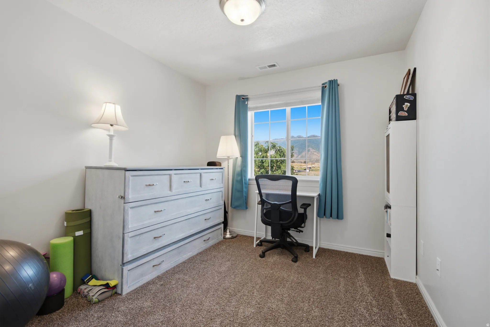 Neutral wall paint, window with mountain scenery, and textured carpet flooring