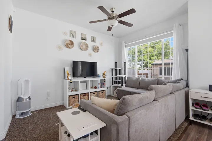 Light-filled living area featuring a large multi-pane window, ceiling fan with integrated lighting, and carpeted flooring