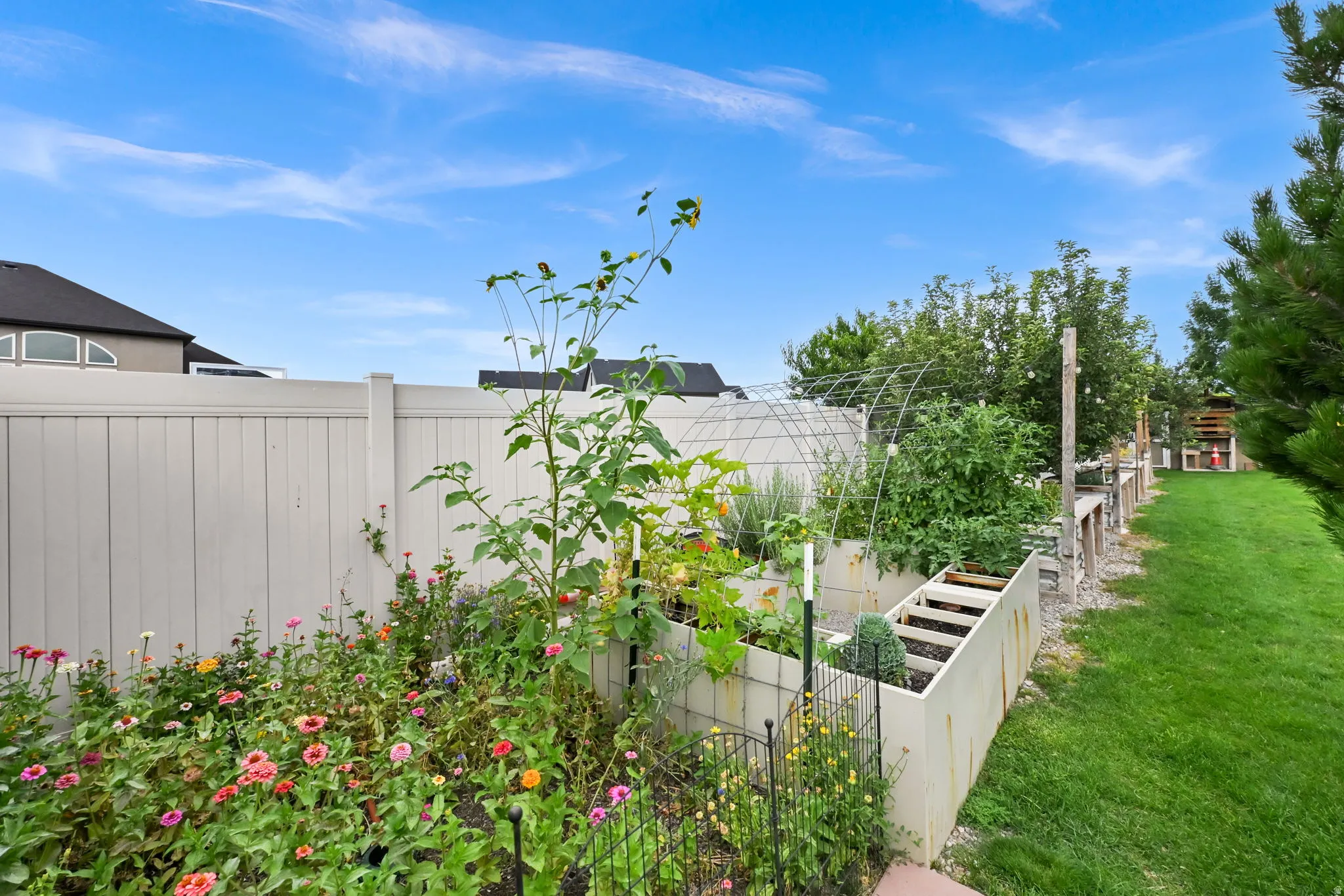 Wild Flower Garden with Veggie Grow Boxes
