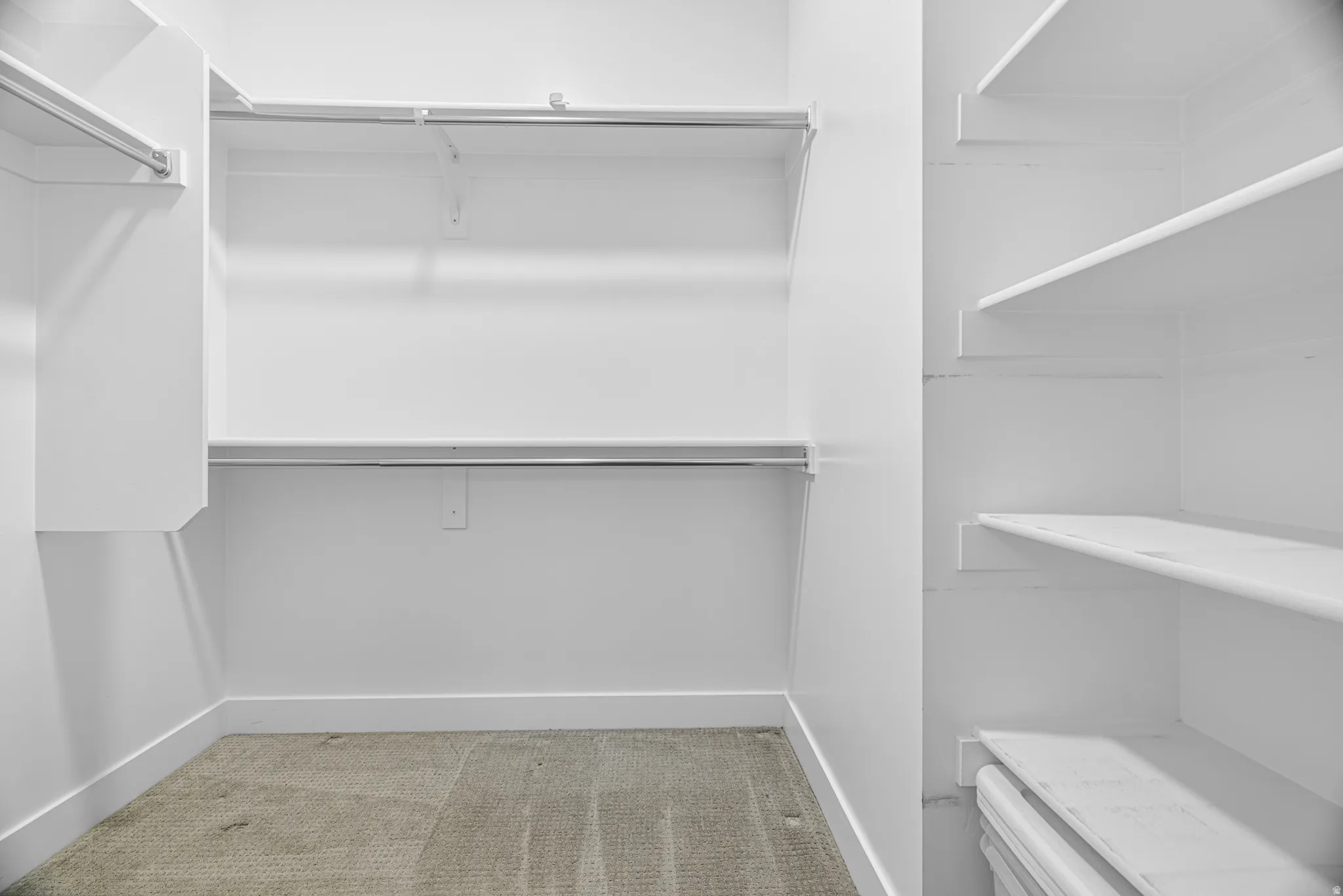 Walk-in closet featuring white built-in shelving, chrome hanging rods, and carpet flooring