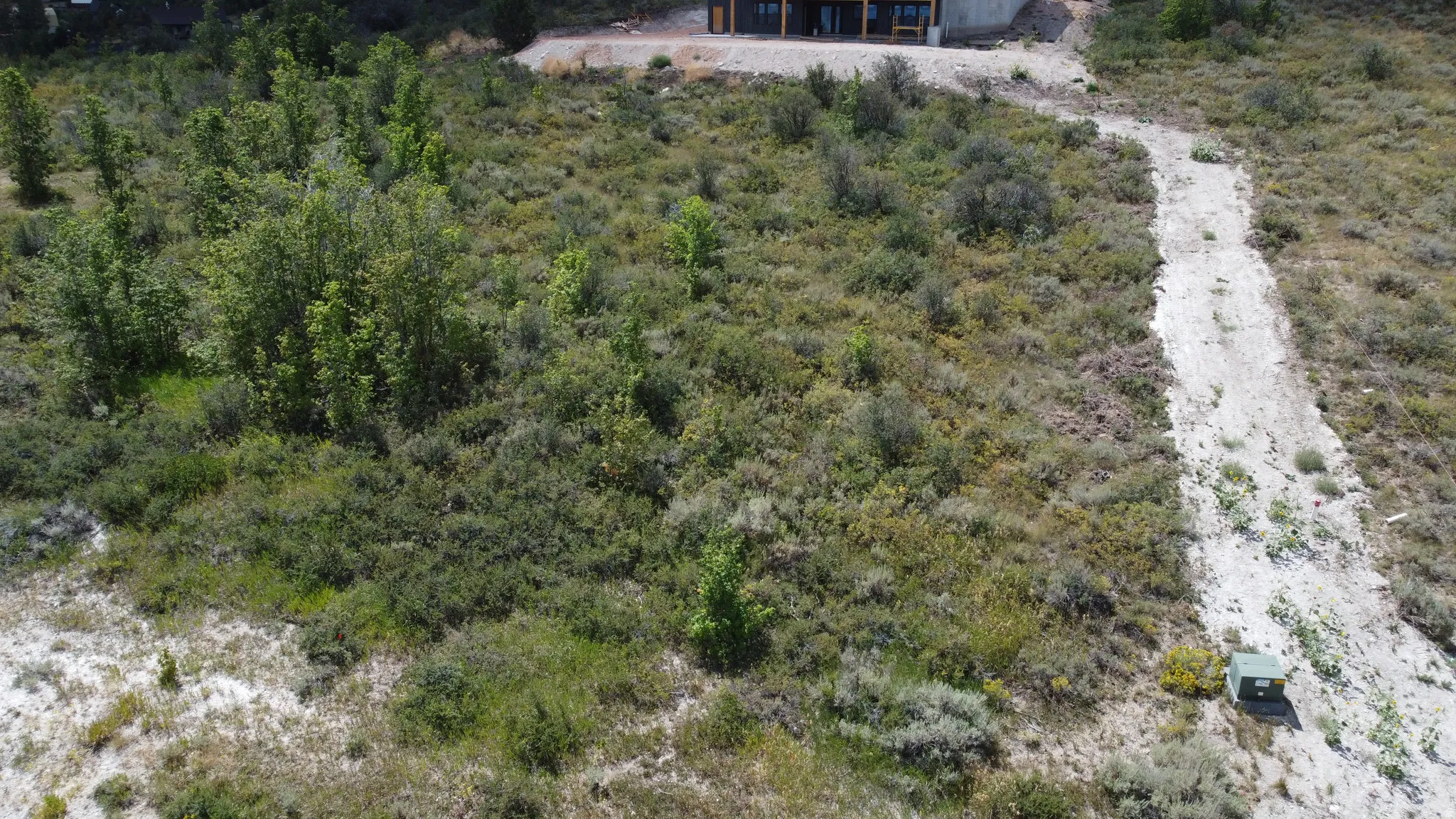Expansive undeveloped lot featuring natural landscaping and mature trees