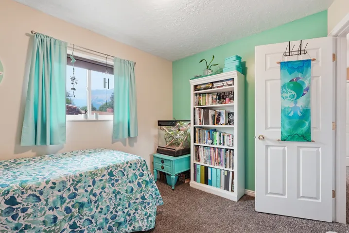 Window with mountain backdrop, built-in shelving, paneled door
