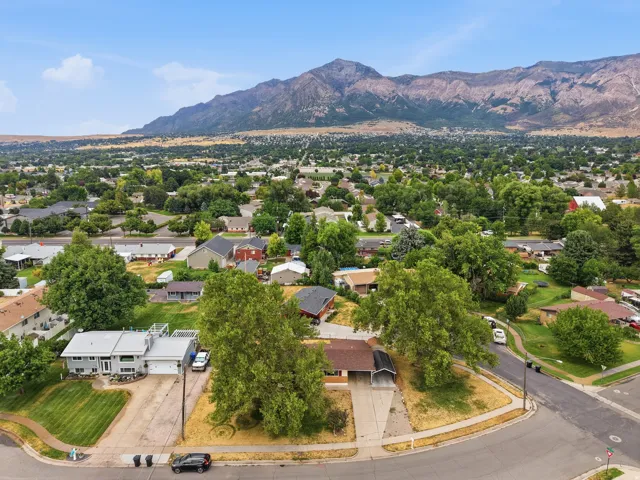 Residential neighborhood featuring mature trees and mountain scenery