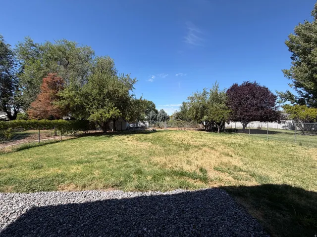 Expansive backyard with a gravel patio, chain-link fencing, and mature trees