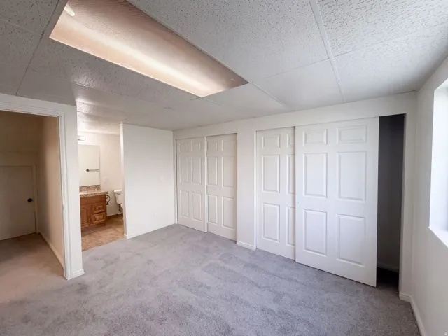 Light gray carpeting, white walls, two sliding closet doors, built-in ceiling light fixture, and a window