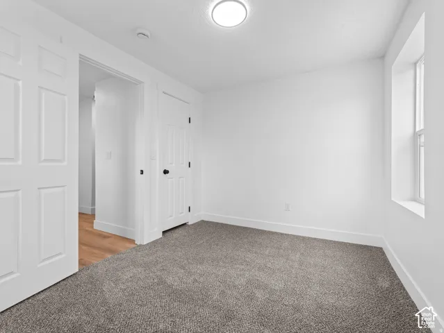 Plush carpet flooring in a neutral tone, white walls, and a ceiling-mounted light fixture