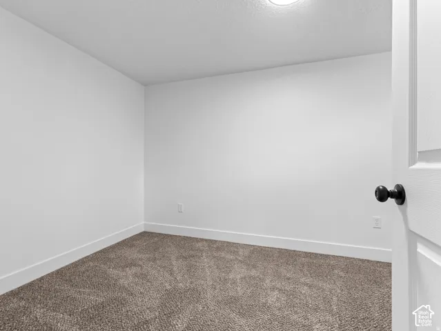 Plush carpet flooring, crisp white walls, and a recessed ceiling light fixture