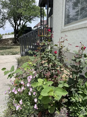Established landscaping with blooming plants and shrubs, a concrete pathway, and a covered porch with dark railings