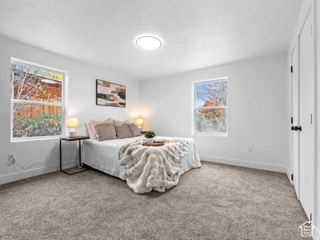 Wall-to-wall carpeting, two windows, recessed ceiling light, and white paneled doors with black hardware