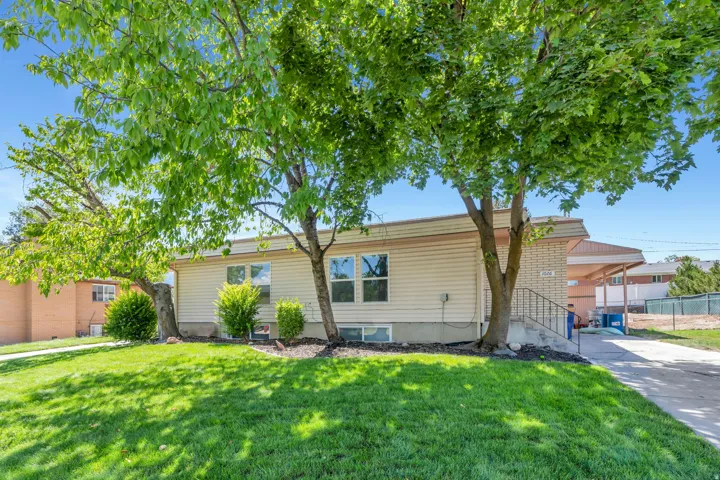 Siding exterior with multiple windows, mature front yard trees, and a concrete driveway leading to a carport