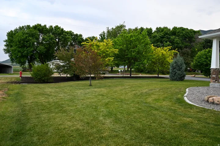 Manicured lawn with mature trees and a decorative rock border