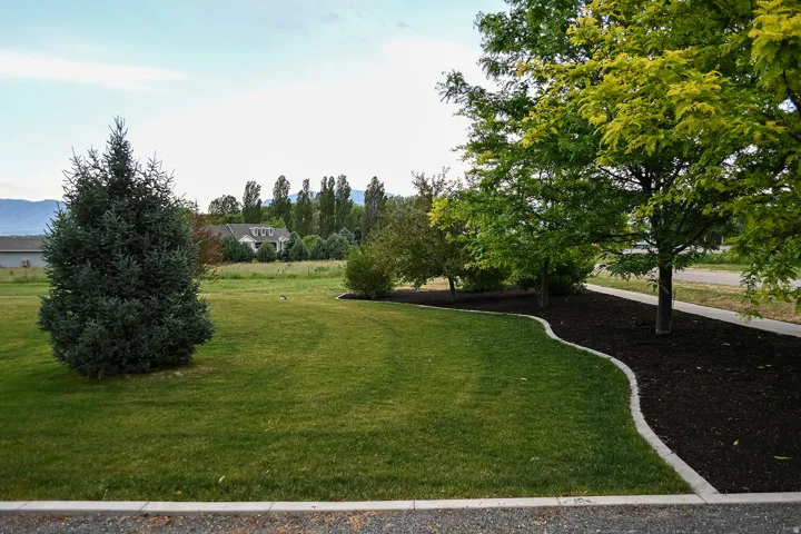 Expansive green lawn with mature trees and a manicured planting bed