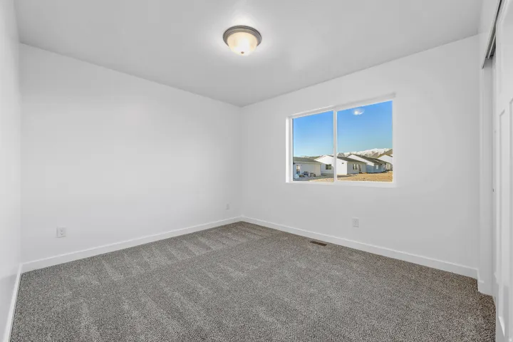 Neutral gray carpet, white walls, and a ceiling-mounted light fixture