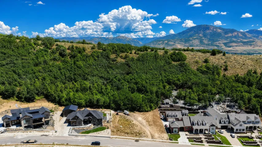 Mountain backdrop, verdant hillside, residential development, modern architectural styles, paved roadways