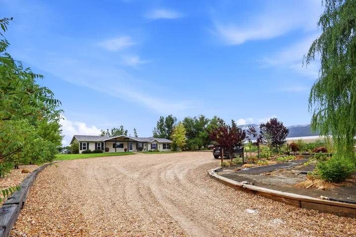 Expansive gravel driveway leading to a single-story residence with a covered front porch and mature landscaping