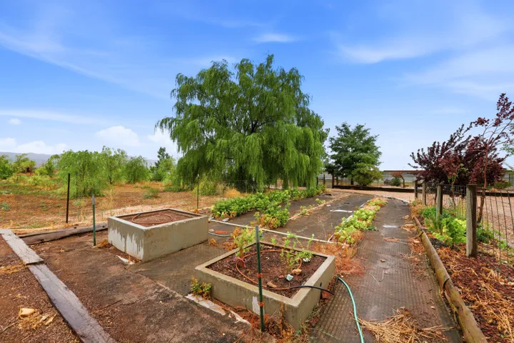 Garden beds with established plantings, mature trees, and concrete planters